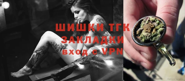 хмурый Осинники