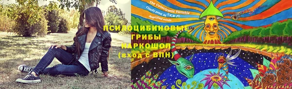 хмурый Осинники