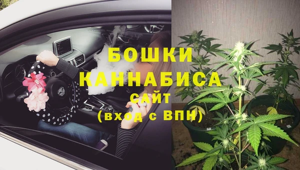 хмурый Осинники