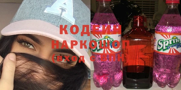 хмурый Осинники