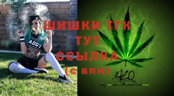 хмурый Осинники