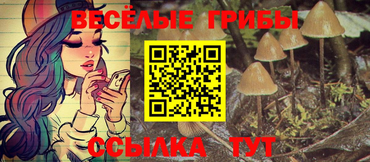 закладки  Псилоцибиновые грибы MAGIC MUSHROOMS  Вход с VPN  Унеча 