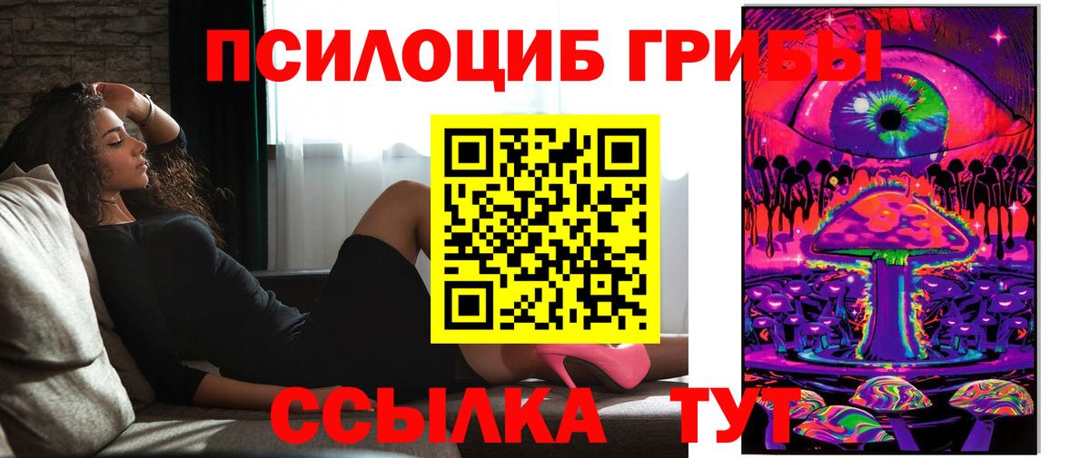 Псилоцибиновые грибы мицелий Унеча